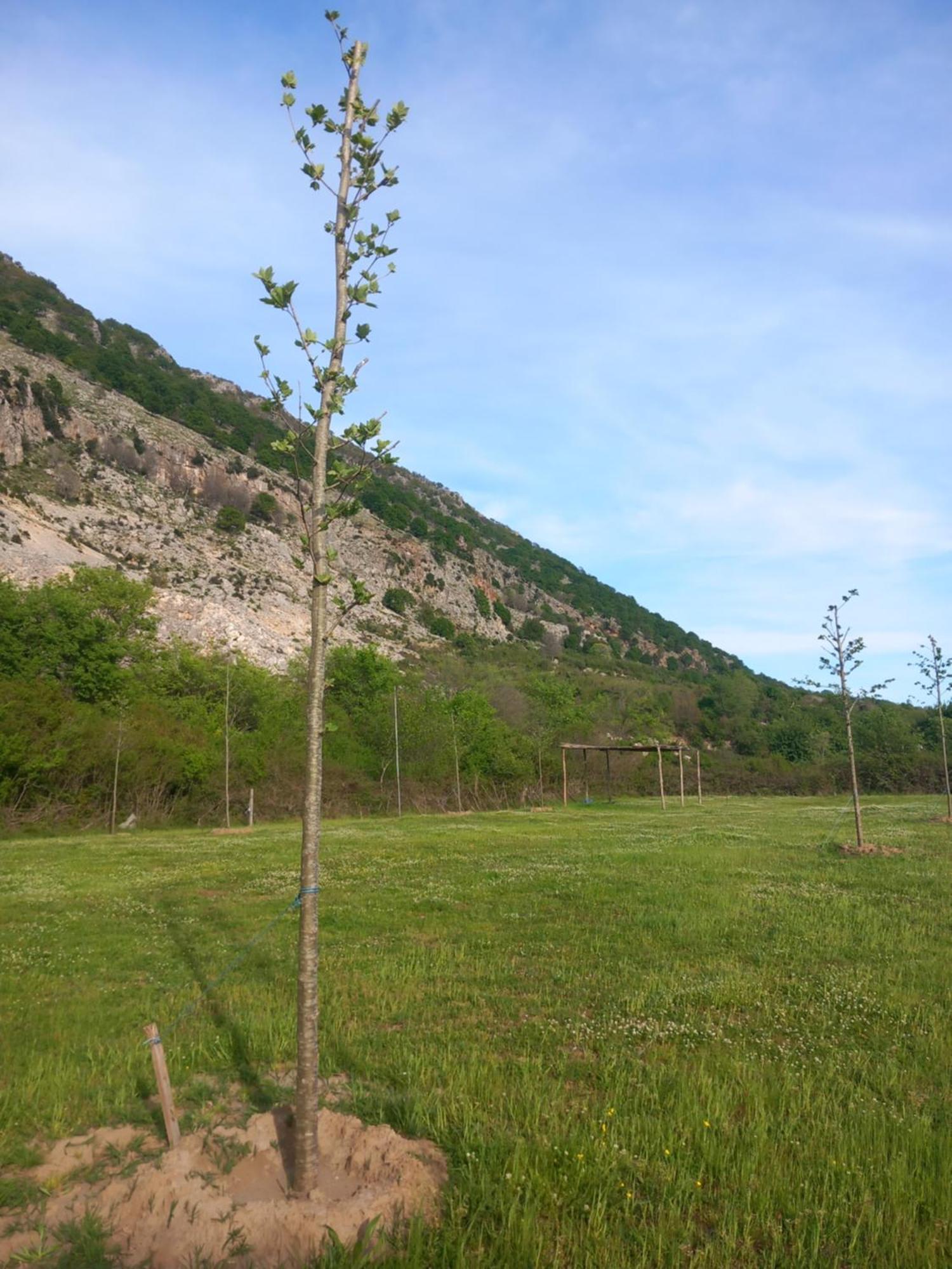 Camping Gjelaj Ξενοδοχείο Baks-Rrjoll Εξωτερικό φωτογραφία